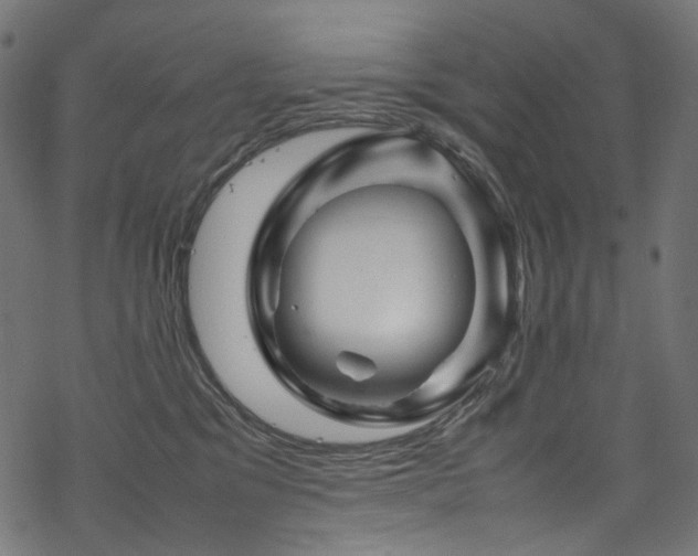 X0000070190329200605261204