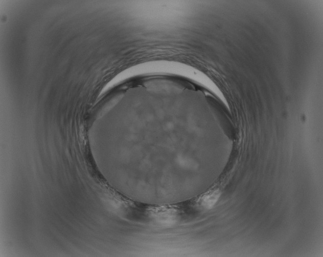 X0000070190331200605261204