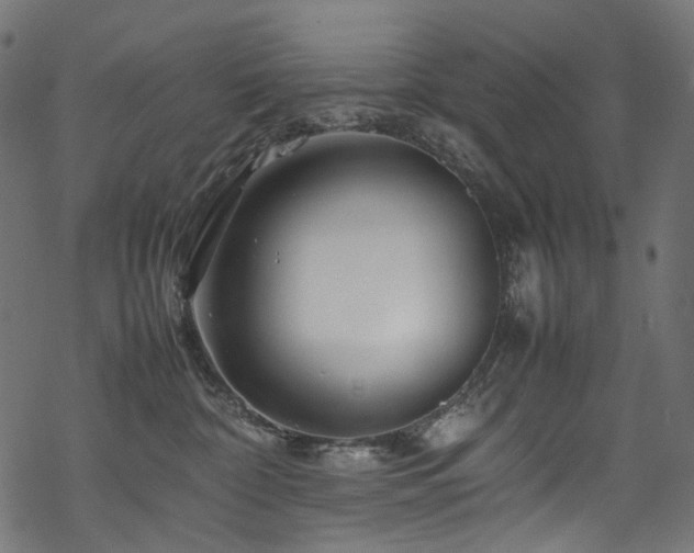 X0000070190332200605261204