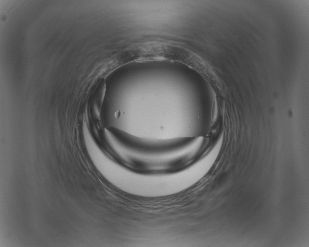 X0000070190333200605261204