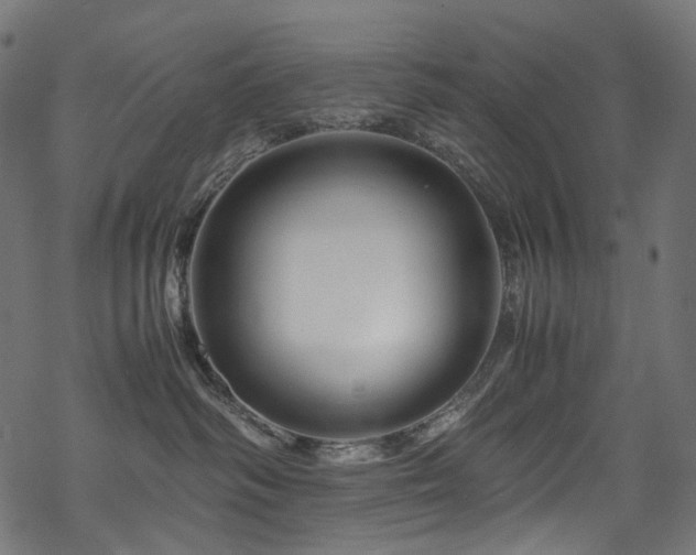 X0000070190334200605261204