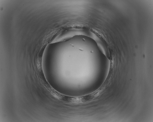 X0000070190335200605261204