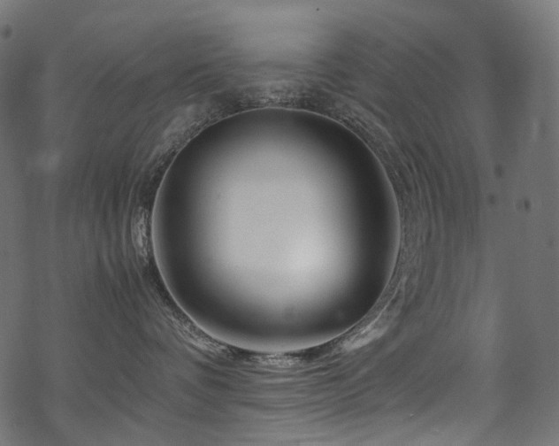 X0000070190336200605261204