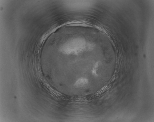 X0000070190337200605261203