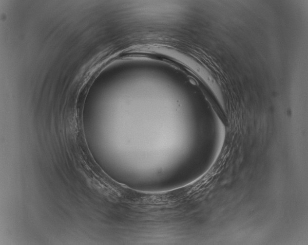 X0000070190338200605261203