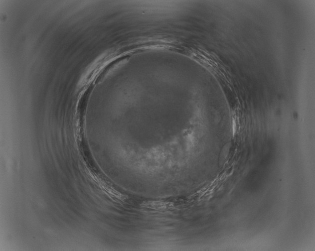 X0000070190339200605261203