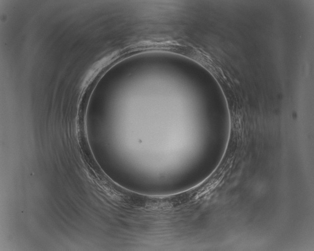 X0000070190340200605261203