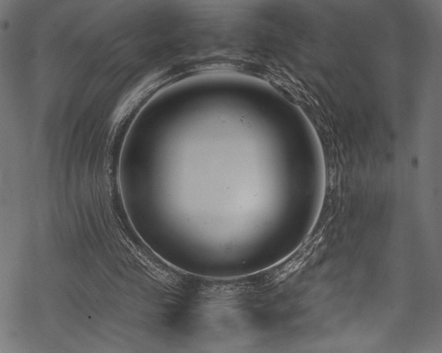 X0000070190341200605261203