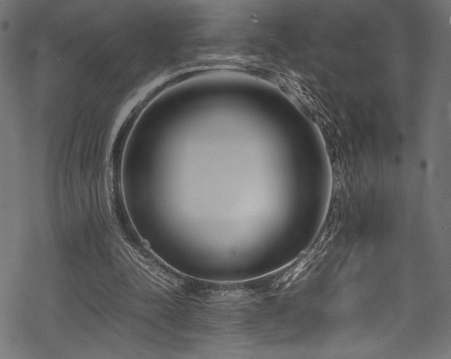 X0000070190342200605261203