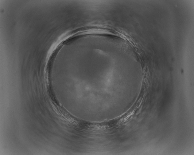 X0000070190343200605261203