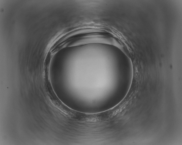 X0000070190344200605261203