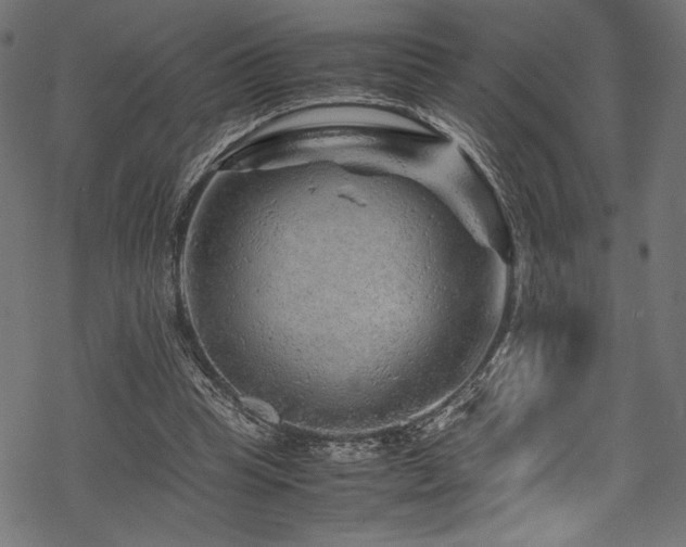 X0000070190345200605261203