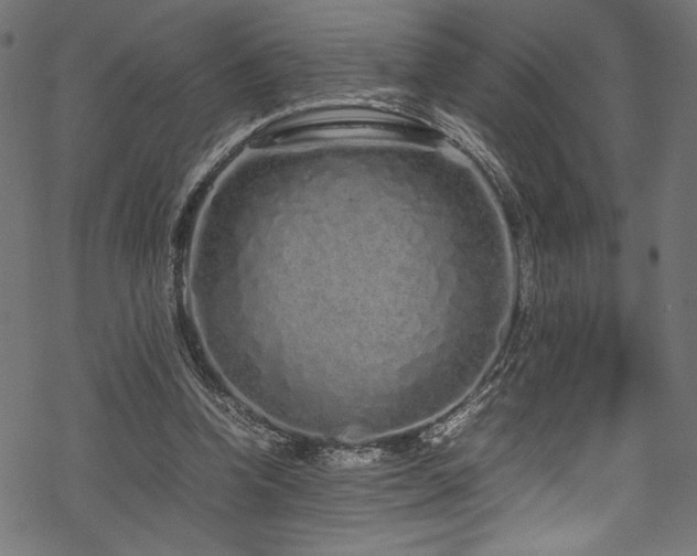 X0000070190346200605261203