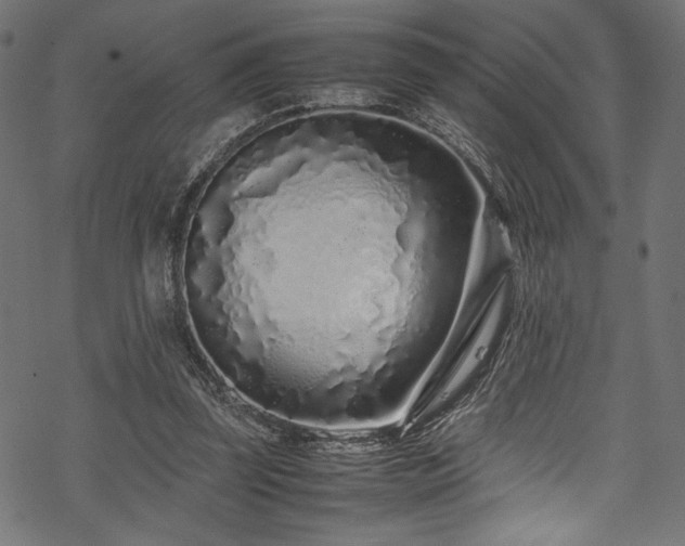 X0000070190347200605261203