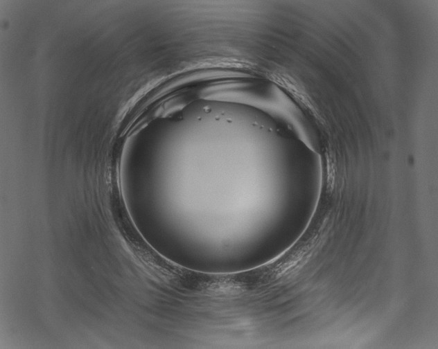 X0000070190348200605261203