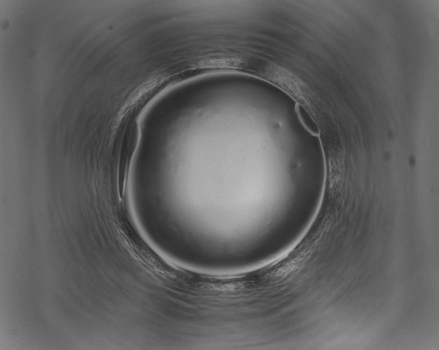 X0000070190349200605261203