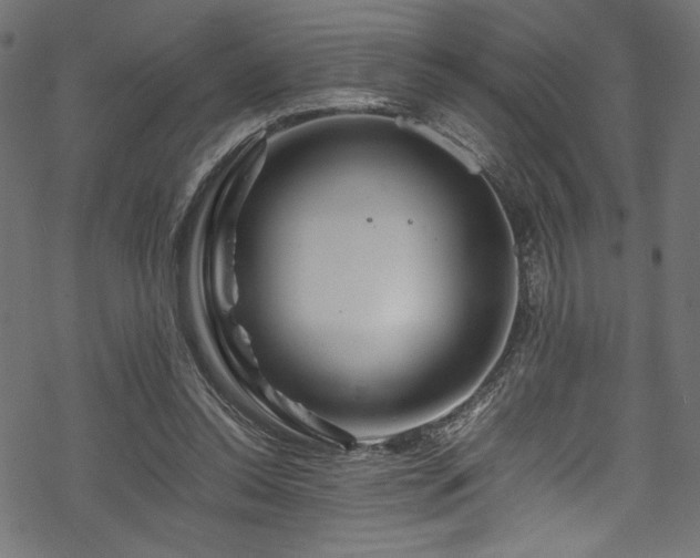 X0000070190350200605261203