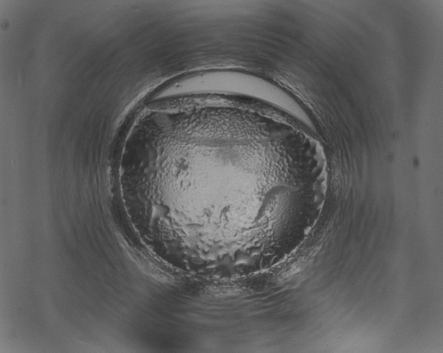 X0000070190351200605261203