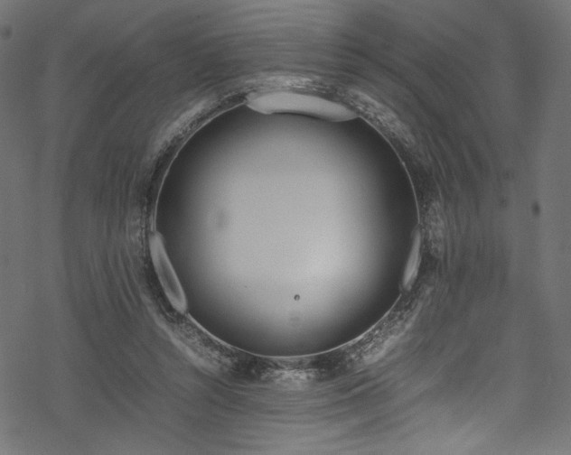 X0000070190352200605261203