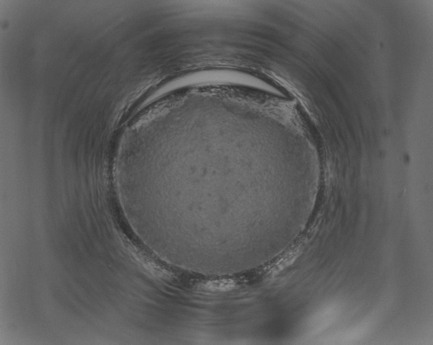 X0000070190353200605261203