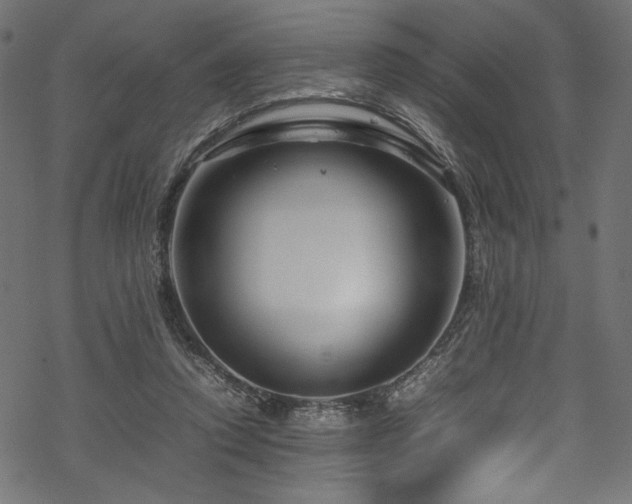 X0000070190354200605261203