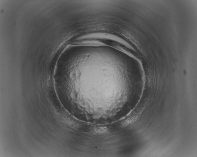 X0000070190355200605261203