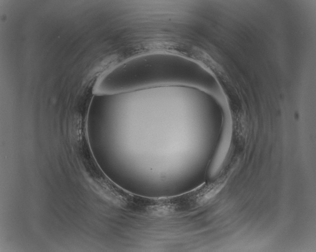 X0000070190356200605261203