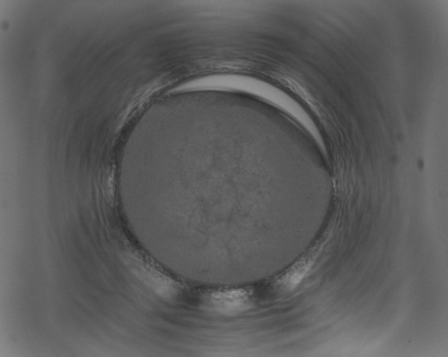 X0000070190357200605261203