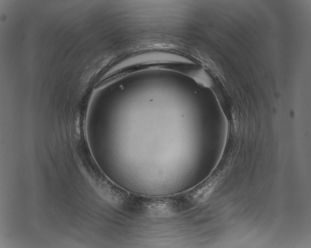 X0000070190358200605261203