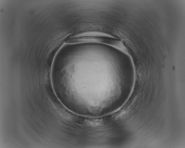 X0000070190359200605261203