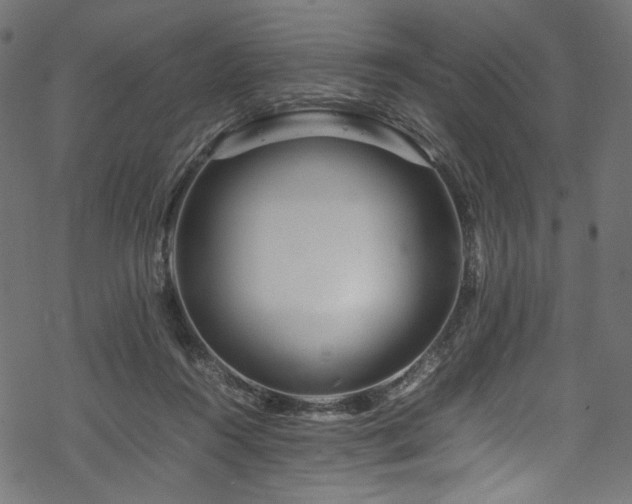 X0000070190360200605261203