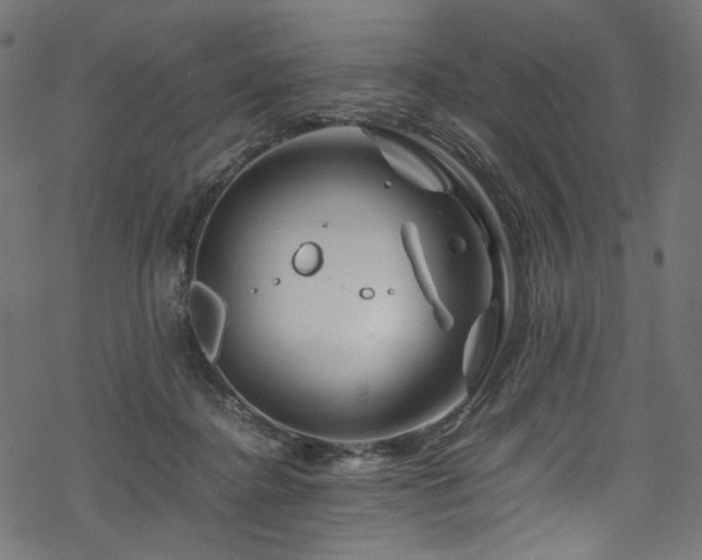 X0000070190364200605261203