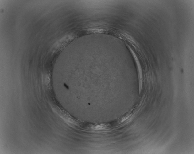 X0000070190365200605261203