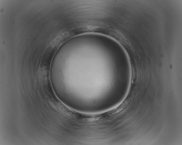 X0000070190366200605261203