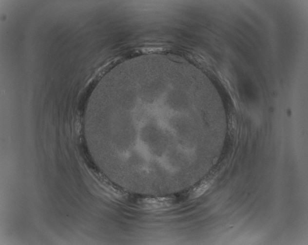 X0000070190367200605261203