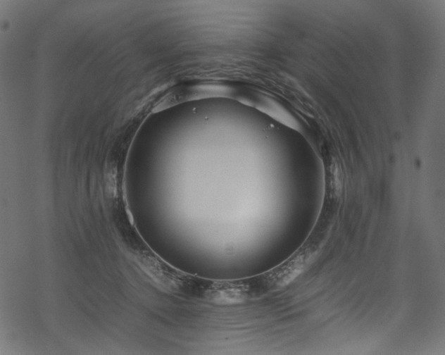 X0000070190368200605261203