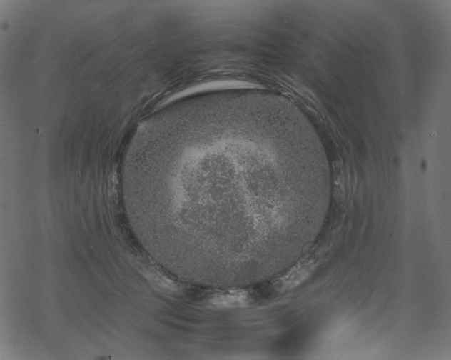 X0000070190369200605261203