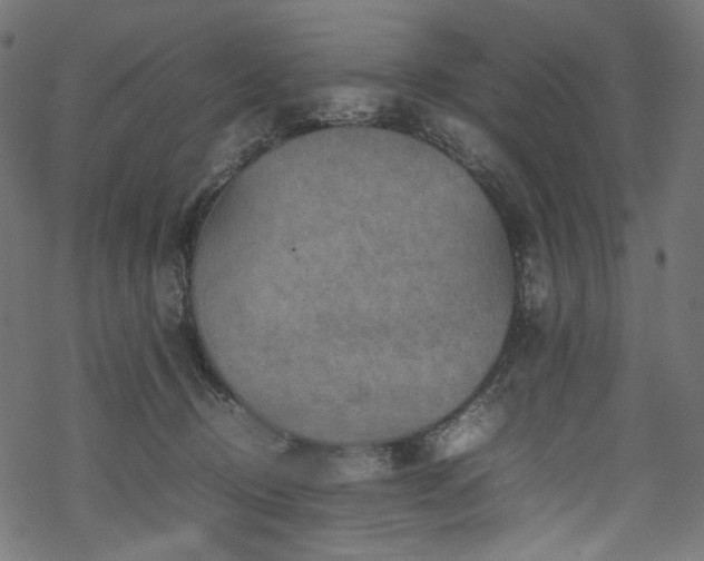 X0000070190370200605261203