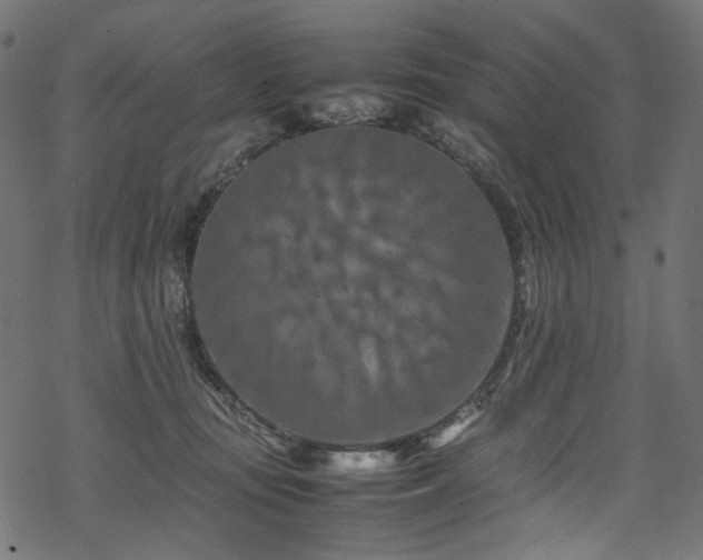 X0000070190371200605261203