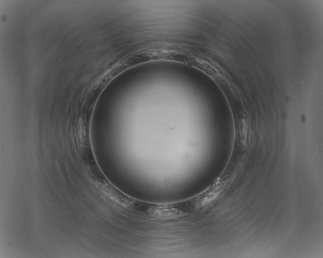 X0000070190372200605261203