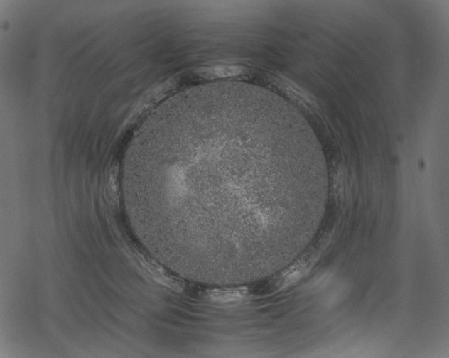 X0000070190373200605261203