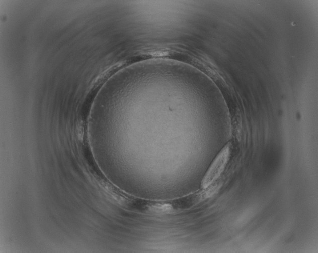 X0000070190374200605261204