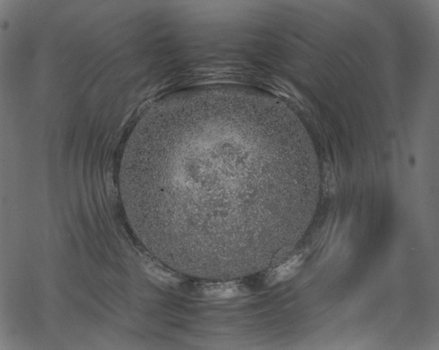 X0000070190377200605261204