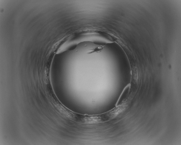 X0000070190378200605261204