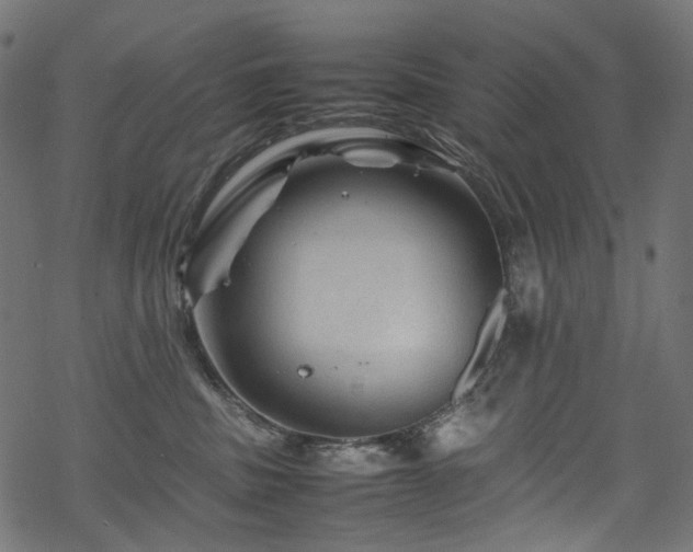 X0000070190379200605261204