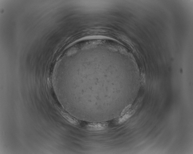 X0000070190381200605261204