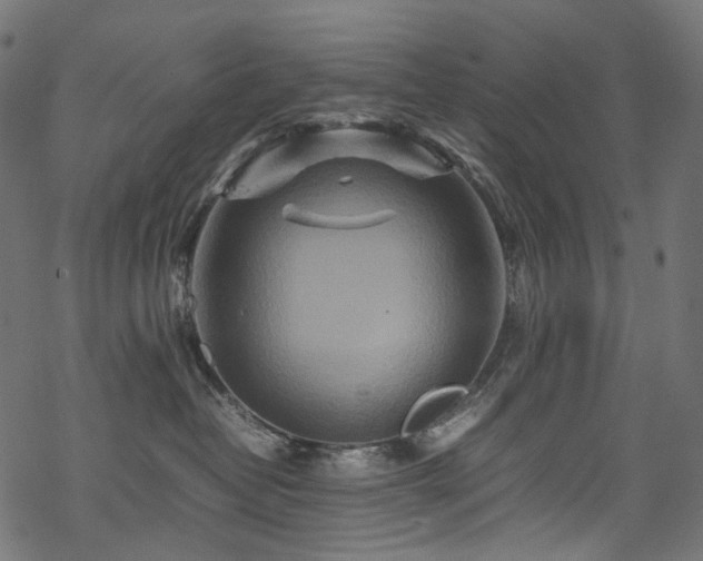 X0000070190382200605261204