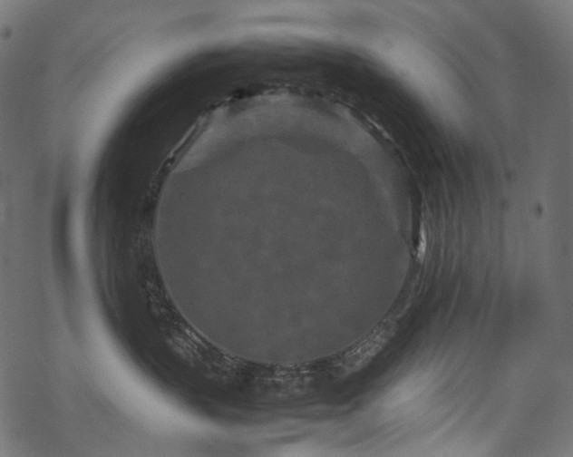 X0000070190383200605261204