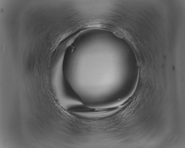 X0000070190385200605261203