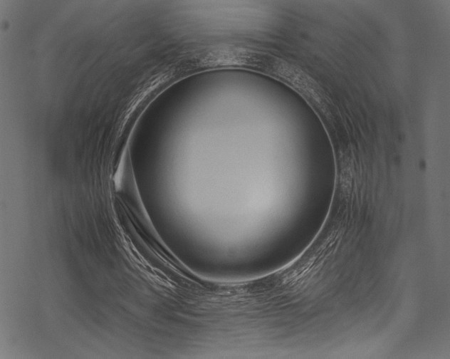 X0000070190386200605261203